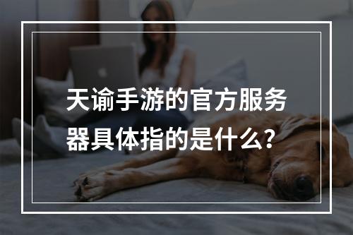 天谕手游的官方服务器具体指的是什么?