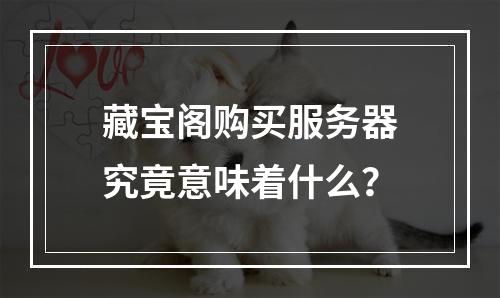 藏宝阁购买服务器究竟意味着什么?