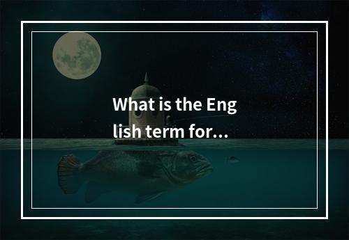 What is the English term for a log server?