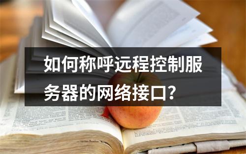 如何称呼远程控制服务器的网络接口?
