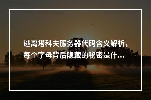 逃离塔科夫服务器代码含义解析,每个字母背后隐藏的秘密是什么?