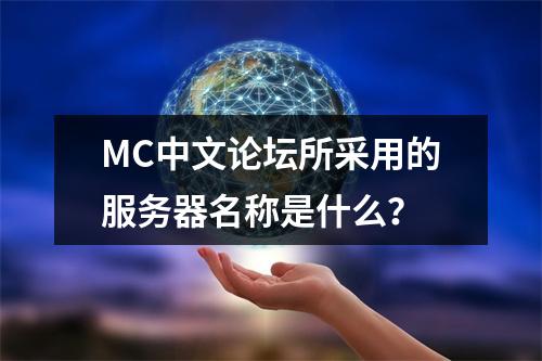 MC中文论坛所采用的服务器名称是什么?