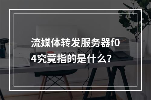 流媒体转发服务器f04究竟指的是什么?