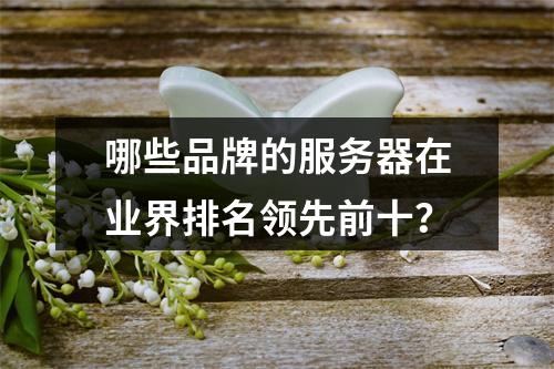 哪些品牌的服务器在业界排名领先前十?
