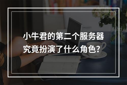 小牛君的第二个服务器究竟扮演了什么角色?