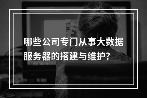 哪些公司专门从事大数据服务器的搭建与维护?