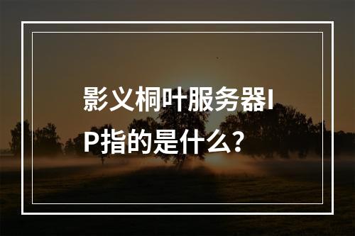 影义桐叶服务器IP指的是什么?