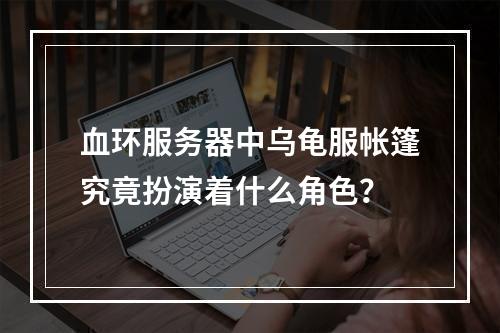 血环服务器中乌龟服帐篷究竟扮演着什么角色?