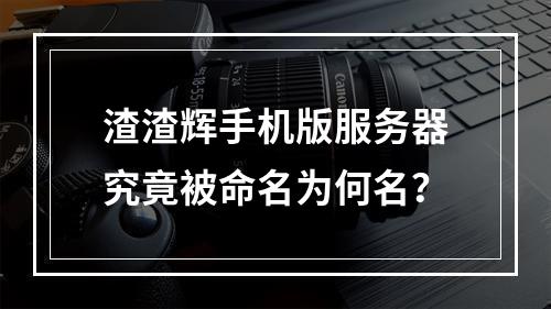 渣渣辉手机版服务器究竟被命名为何名?