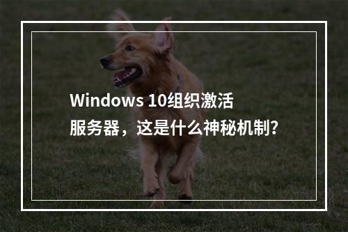 Windows 10组织激活服务器,这是什么神秘机制?