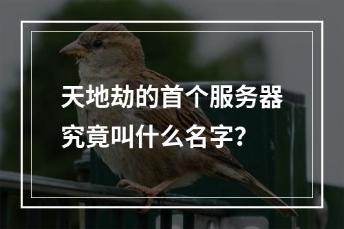 天地劫的首个服务器究竟叫什么名字?