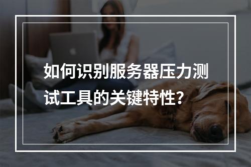 如何识别服务器压力测试工具的关键特性?