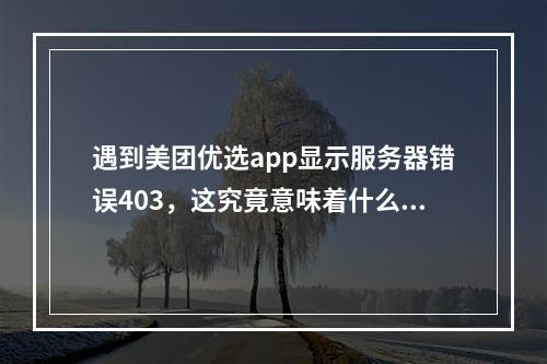 遇到美团优选app显示服务器错误403,这究竟意味着什么问题?