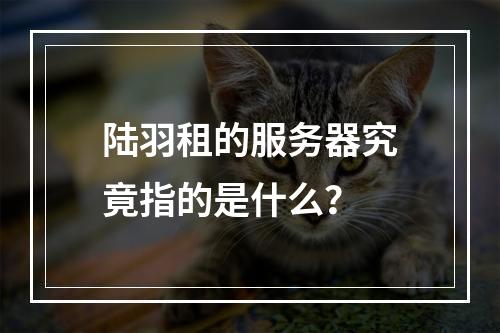 陆羽租的服务器究竟指的是什么?
