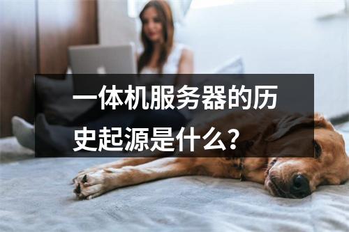 一体机服务器的历史起源是什么?