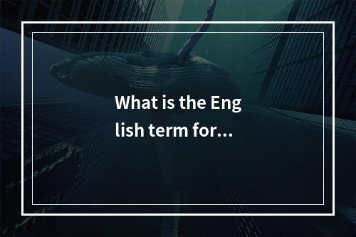 What is the English term for a network administrators server?