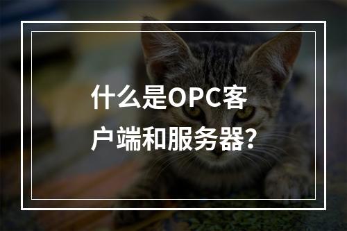 什么是OPC客户端和服务器?