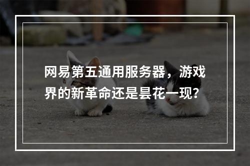 网易第五通用服务器,游戏界的新革命还是昙花一现?