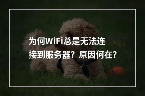 为何WiFi总是无法连接到服务器?原因何在?