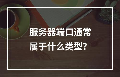 服务器端口通常属于什么类型?