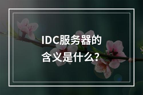 IDC服务器的含义是什么?