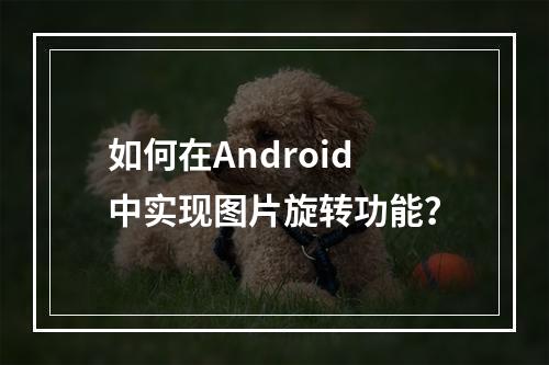 如何在Android中实现图片旋转功能?
