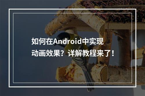 如何在Android中实现动画效果?详解教程来了!