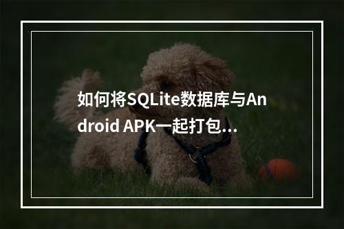 如何将SQLite数据库与Android APK一起打包?