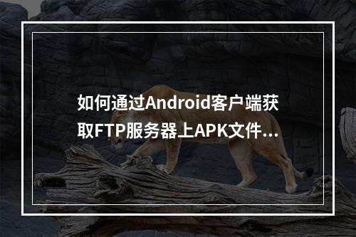 如何通过Android客户端获取FTP服务器上APK文件的版本号?