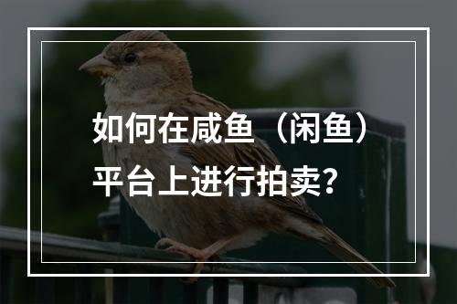 如何在咸鱼(闲鱼)平台上进行拍卖?