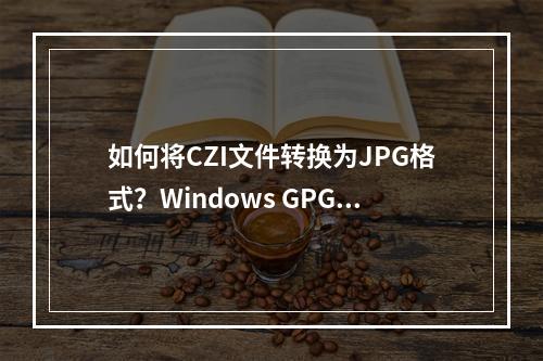 如何将CZI文件转换为JPG格式?Windows GPG能帮忙吗?