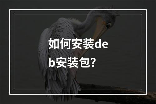 如何安装deb安装包?