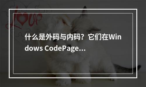 什么是外码与内码?它们在Windows CodePage中扮演什么角色?