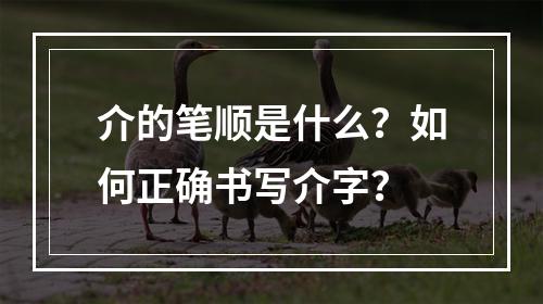 介的笔顺是什么?如何正确书写介字?