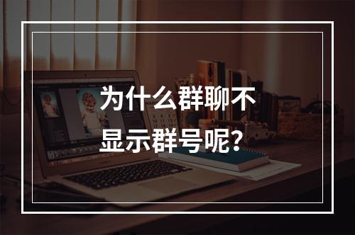 为什么群聊不显示群号呢?