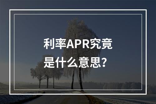 利率APR究竟是什么意思?