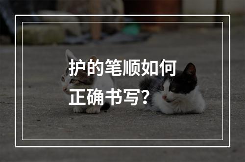 护的笔顺如何正确书写?