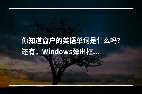 你知道窗户的英语单词是什么吗?还有,Windows弹出框英文怎么说?