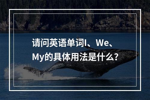 请问英语单词I、We、My的具体用法是什么?