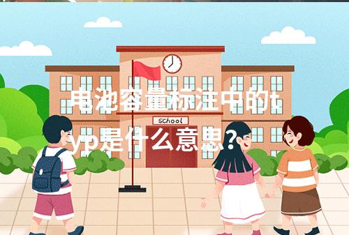 电池容量标注中的typ是什么意思?