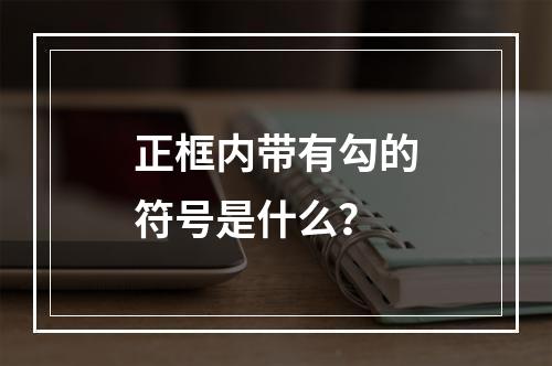 正框内带有勾的符号是什么?
