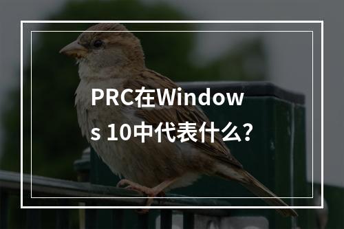 PRC在Windows 10中代表什么?