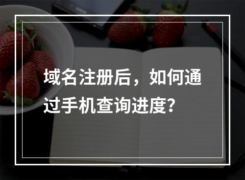 域名注册后,如何通过手机查询进度?
