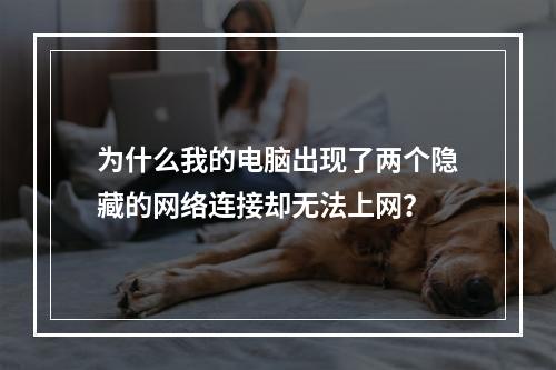 为什么我的电脑出现了两个隐藏的网络连接却无法上网?