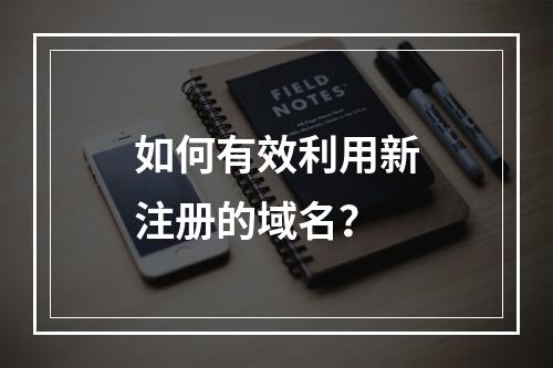 如何有效利用新注册的域名?
