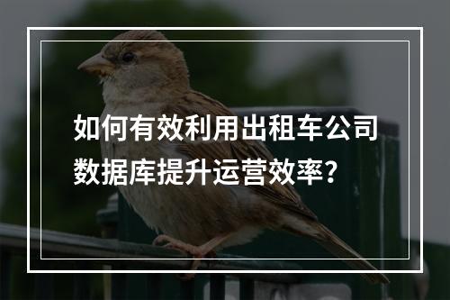 如何有效利用出租车公司数据库提升运营效率?