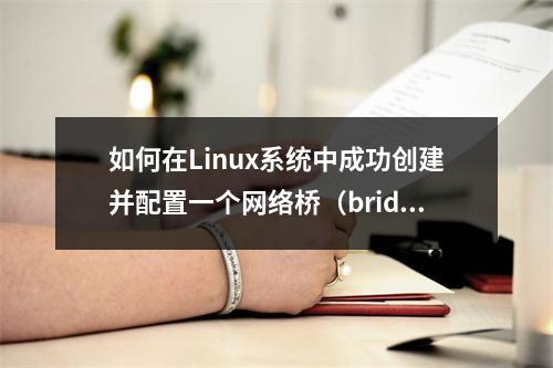 如何在Linux系统中成功创建并配置一个网络桥(bridge)?