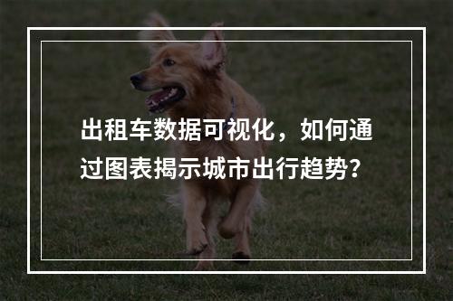 出租车数据可视化,如何通过图表揭示城市出行趋势?