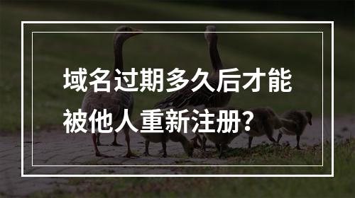 域名过期多久后才能被他人重新注册?