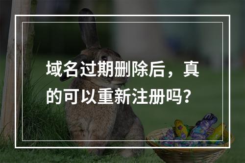 域名过期删除后,真的可以重新注册吗?
